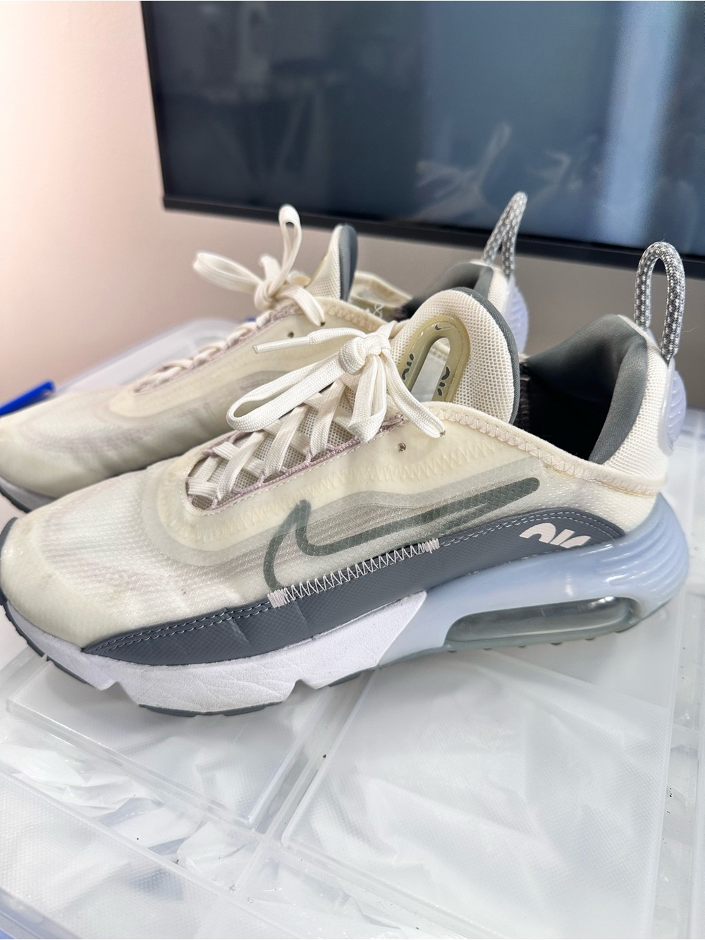 Nike Air Max 2090 Sail Ghost (Women's) CT1290-101